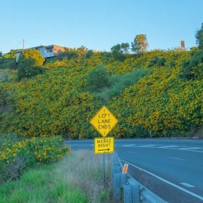 怪物卡车特技赛